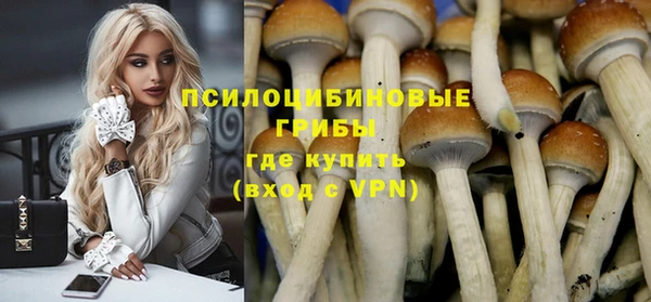гидропоника Беломорск